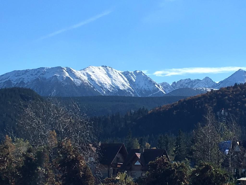 Villa Gronik Zakopane Exteriér fotografie